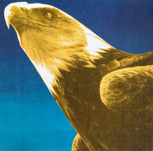 Protomartyr (2) - Hotel Usona (LP, Ltd, (Lt)