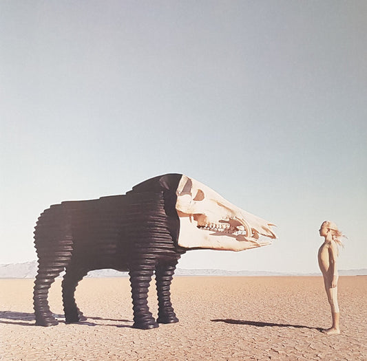 Man Man - Dream Hunting In The Valley Of The In-Between (LP, Album, Ltd, Pin + LP, S/Sided, Etch)