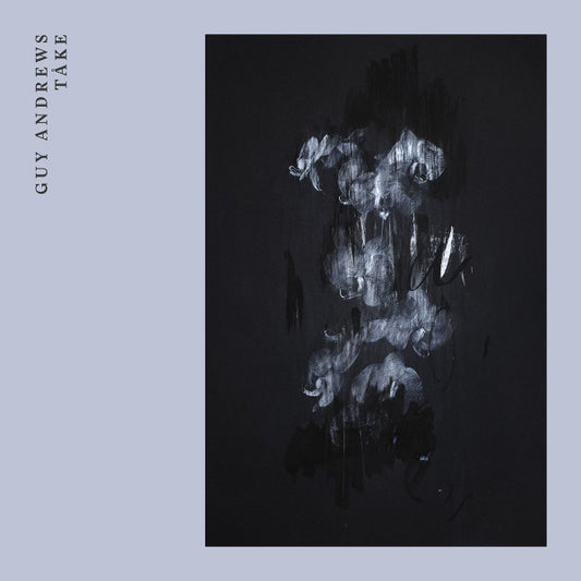 Guy Andrews - Tåke (LP, Album)