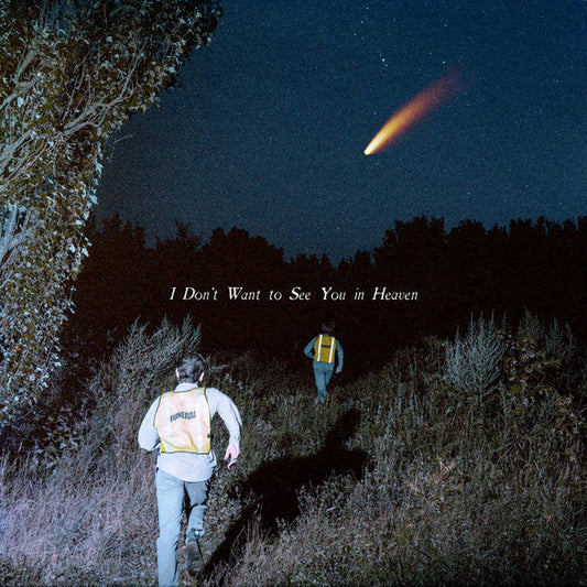 The Callous Daoboys - I Don't Want To See You In Heaven (CD, Album)