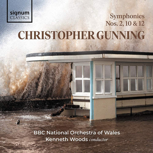 Christopher Gunning, BBC National Orchestra Of Wales, Kenneth Woods (2) - Symphonies Nos. 2, 10 & 12 (CD, Album)