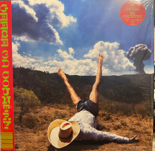 Geese (11) - 3D Country (LP, Album, Ltd, Cle)