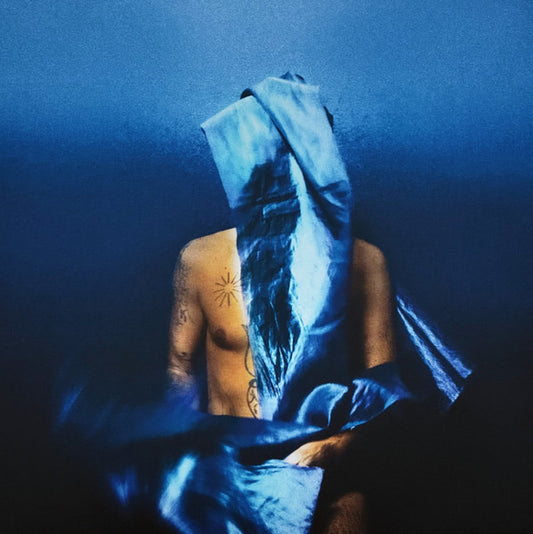 Devendra Banhart - Flying Wig (LP, Album, Ltd, Opa)