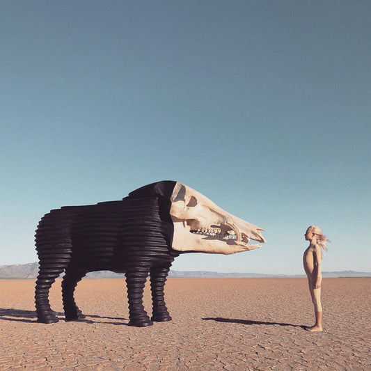 Man Man - Dream Hunting In The Valley Of The In-Between (CD, Album)