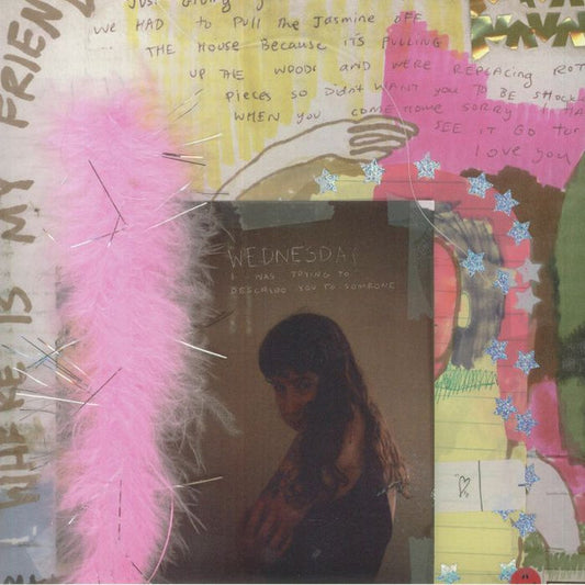 Wednesday (10) - I Was Trying To Describe You To Someone (LP, Album, RE)