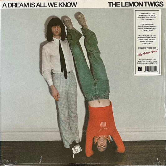 The Lemon Twigs - A Dream Is All We Know (LP, Album)