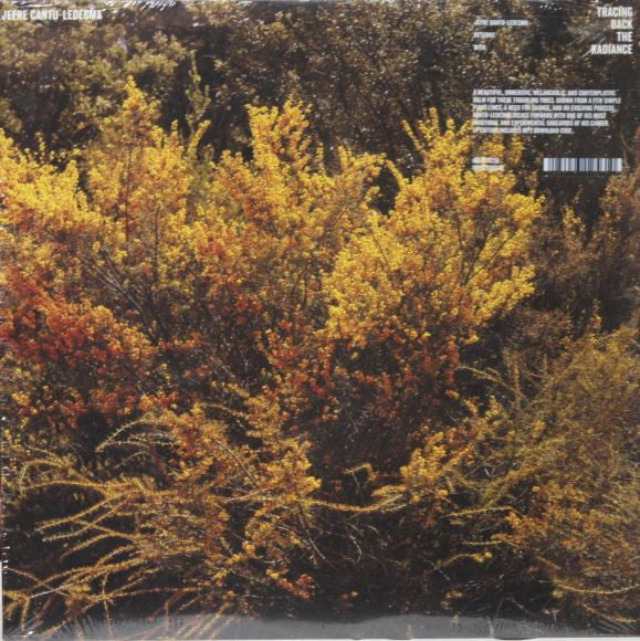 Jefre Cantu-Ledesma - Tracing Back The Radiance (LP)