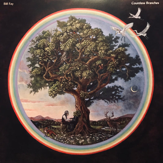 Bill Fay - Countless Branches (2xLP, Album, Dlx, Ltd)