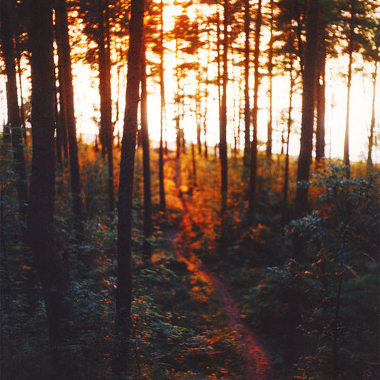 Nocow - Atoner (2xLP, Album)