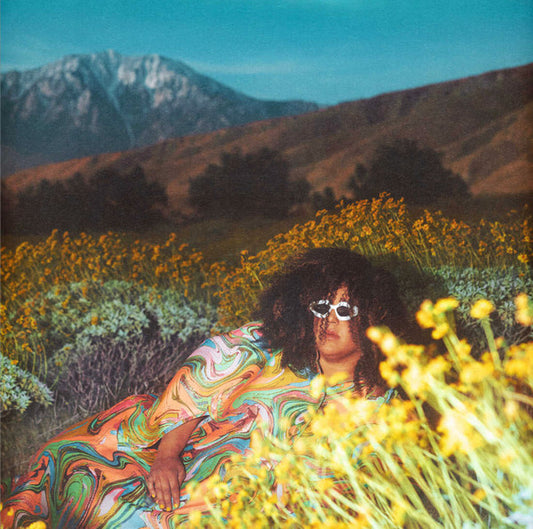 Brittany Howard - What Now (LP, Album, Yel)
