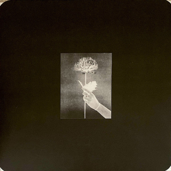 White Flowers - Day By Day (LP, Album, Blu)