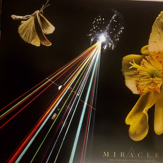 Miracle (11) - The Strife Of Love In A Dream (LP, Album)