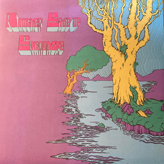 Skinshape - Another Side of Skinshape (LP, Album, Bla)