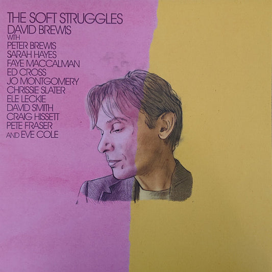David Brewis - The Soft Struggles (LP, Album)