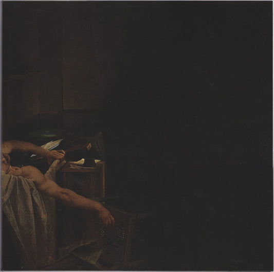 Have A Nice Life - Voids (2xLP, Comp, RM, Hal)