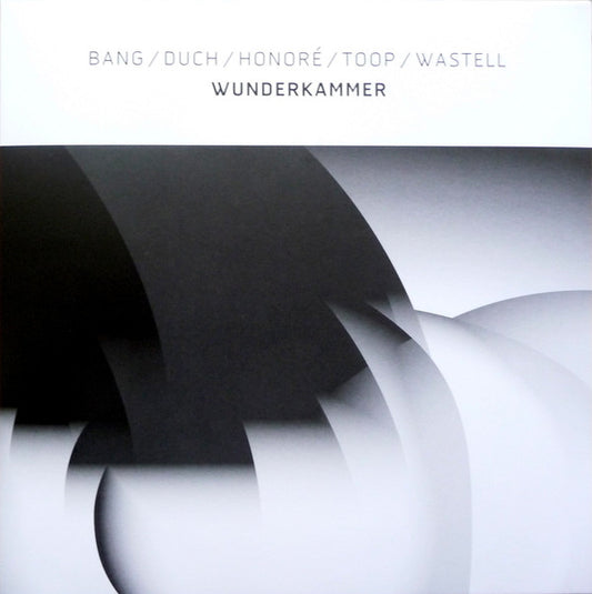 Bang* / Duch* / Honoré* / Toop* / Wastell* - Wunderkammer (LP, Album, Ltd, Whi)