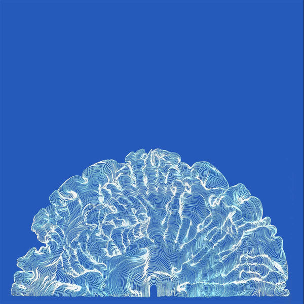 Leafcutter John - Yes! Come Parade With Us (LP, Album)