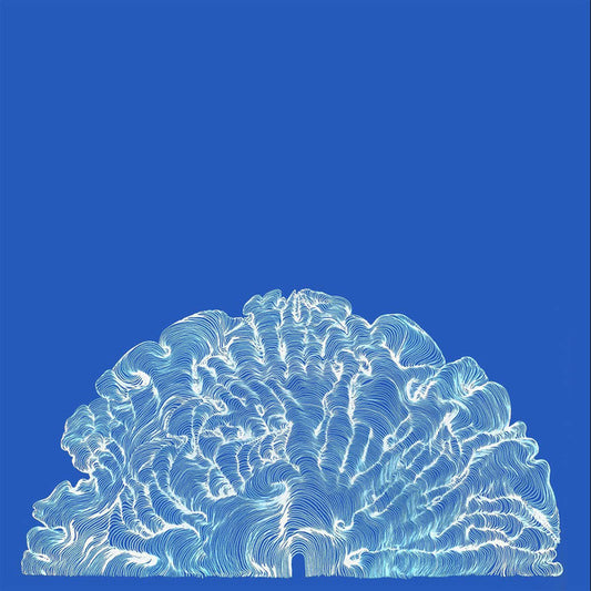Leafcutter John - Yes! Come Parade With Us (LP, Album)