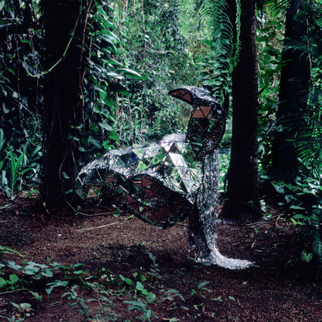 CSS - Donkey (CD, Album)