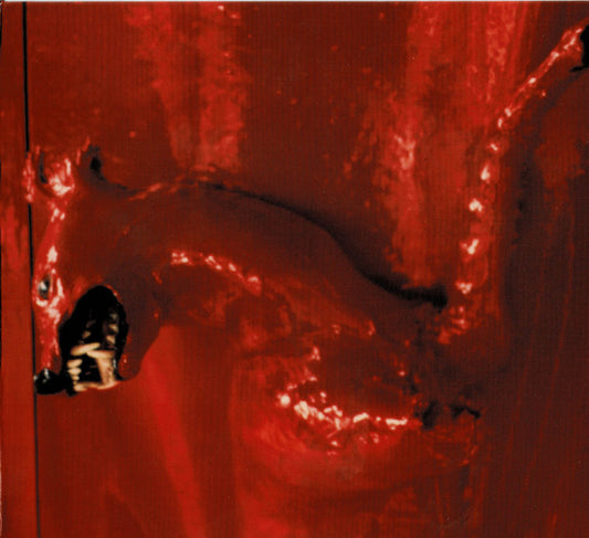 William Basinski - A Red Score In Tile (CD, RE)
