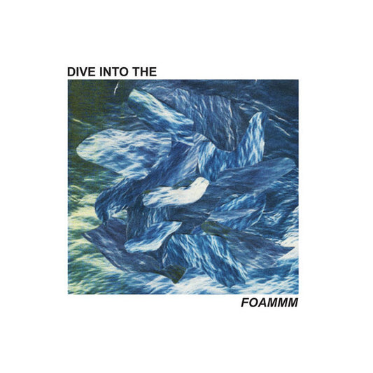 FOAMMM - Dive Into The FOAMMM (12", EP)