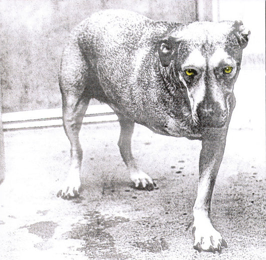Alice In Chains - Alice In Chains (CD, Album, RE)