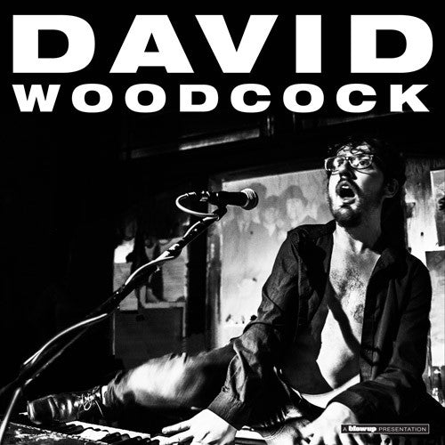 David Woodcock (3) - David Woodcock (CD, Album)