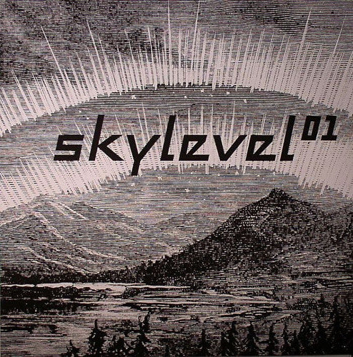 Skylevel - Skylevel 01 (12", Ltd, Unofficial)
