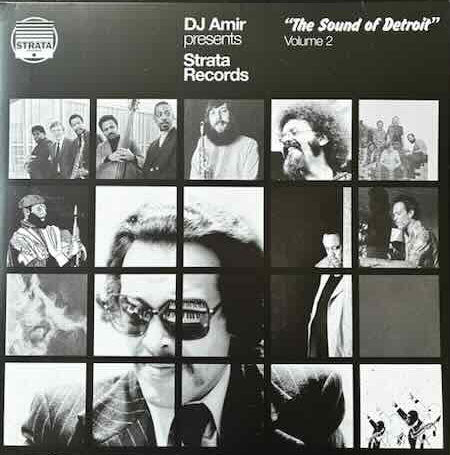 DJ Amir* - The Sound Of Detroit Volume 2 (3xLP, Comp)