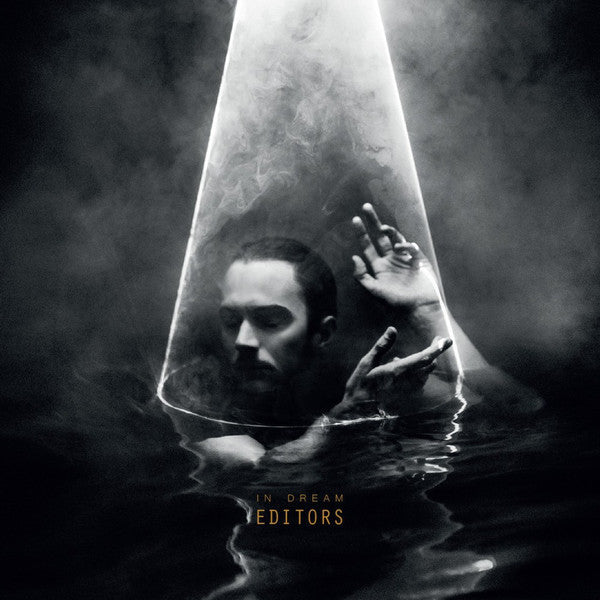 Editors - In Dream (LP, Album)