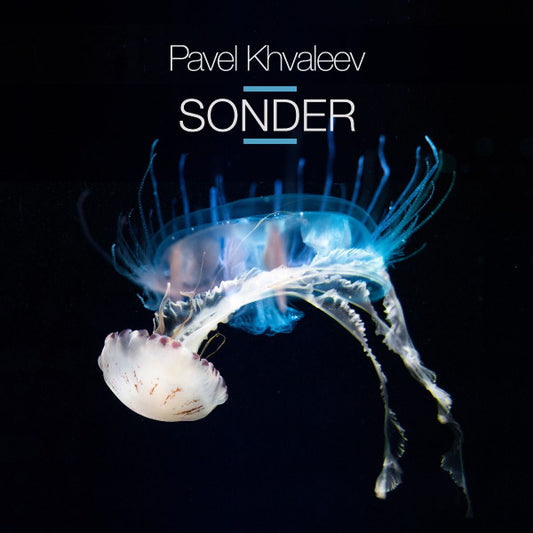 Pavel Khvaleev* - Sonder (2xCD, Album)