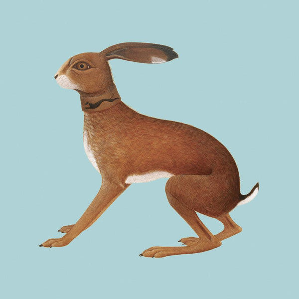 Vashti Bunyan - Lookaftering  (2xLP, Ltd)