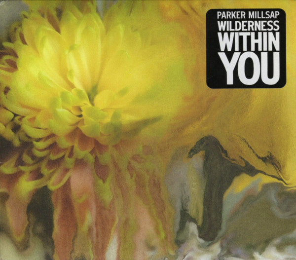 Parker Millsap - Wilderness Within You (CD, Album)
