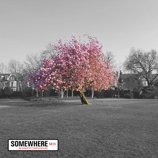 Confucius MC - Somewhere (CD, Album)