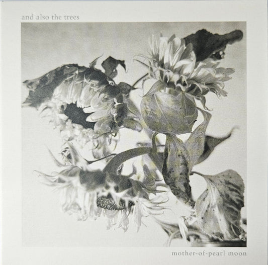 And Also The Trees - Mother-Of-Pearl Moon (CD, Album)