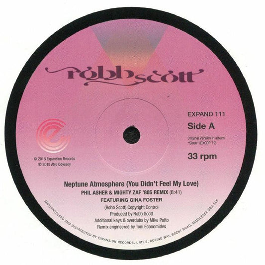 Robb Scott Featuring Gina Foster - Neptune Atmosphere (You Didn't Feel My Love) (12")