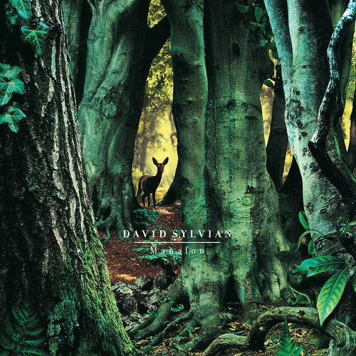 David Sylvian - Manafon (2xLP, Album, RE, 180)