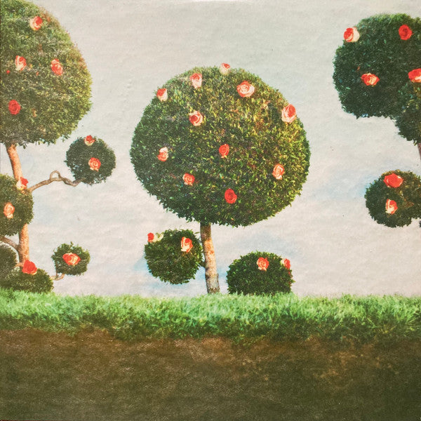 Midnight Sister - Painting The Roses (LP)