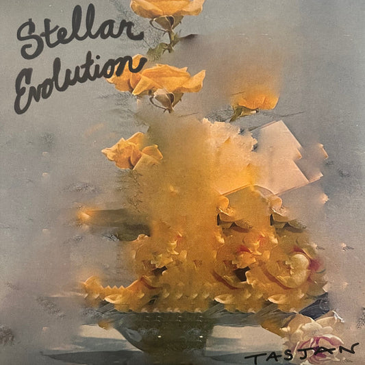 Aaron Lee Tasjan - Stellar Evolution (LP, Album, Opa)
