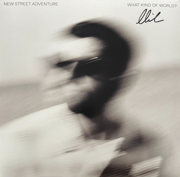 New Street Adventure - What Kind Of World? (LP, Album)