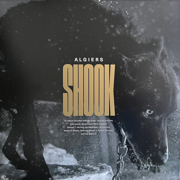 Algiers (2) - Shook (2xLP, Album, Ltd, Gol)