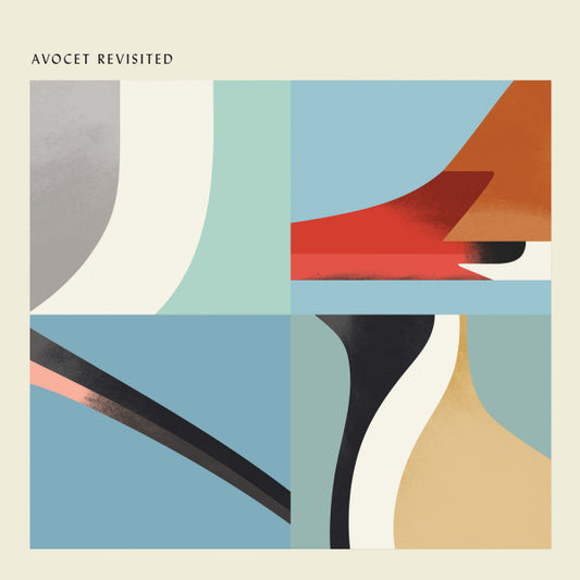 Various - Avocet Revisited (12", EP)