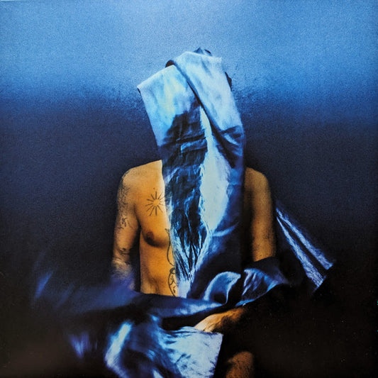 Devendra Banhart - Flying Wig (LP, Album)