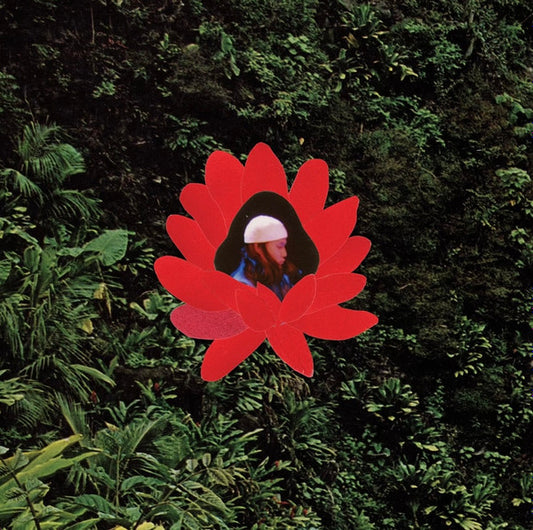 Lionmilk - WHEN THE FLOWERS BLOOM (LP, Album)