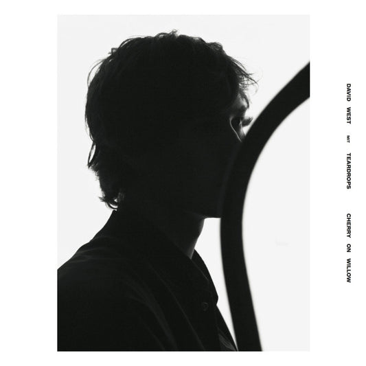 David West (6) - Cherry On Willow (LP, Album, Ltd, Che)