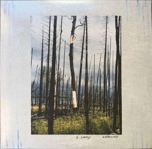 S. Carey (2) - Watercress (12", EP)