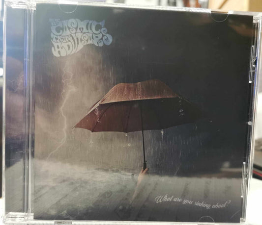The Cosmic Trip Advisors - What Are You Sinking About? (CD, Album)