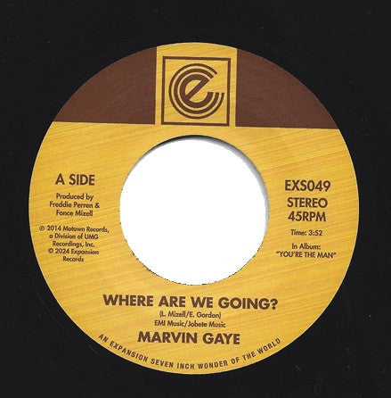 Marvin Gaye - Where Are We Going? / Woman Of The World (7")