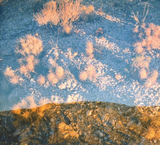 Moon Gangs - Earth Loop (CD, Album)