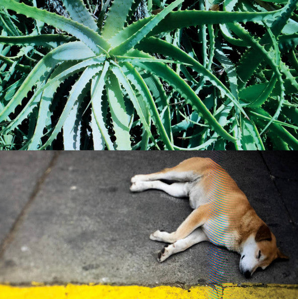 Steve Bates (2) - All The Things That Happen (LP)